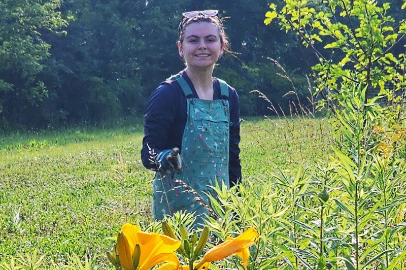 A person standing in a lush garden surrounded by tall, blooming daylilies in shades of pink and yellow. 