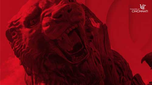 Bearcats statue Zoom background