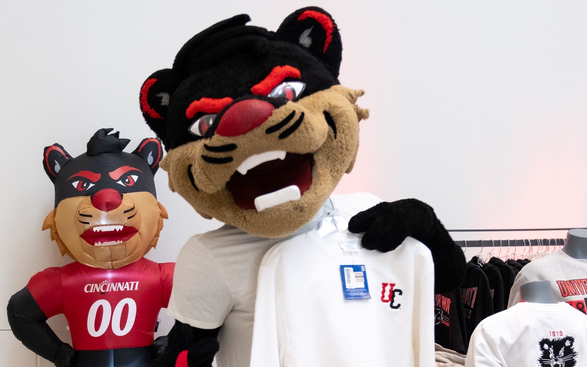 Bearcat mascot holding new UC designs 