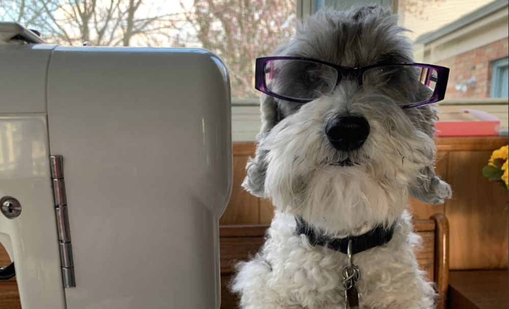 Charlie the dog helps his owner