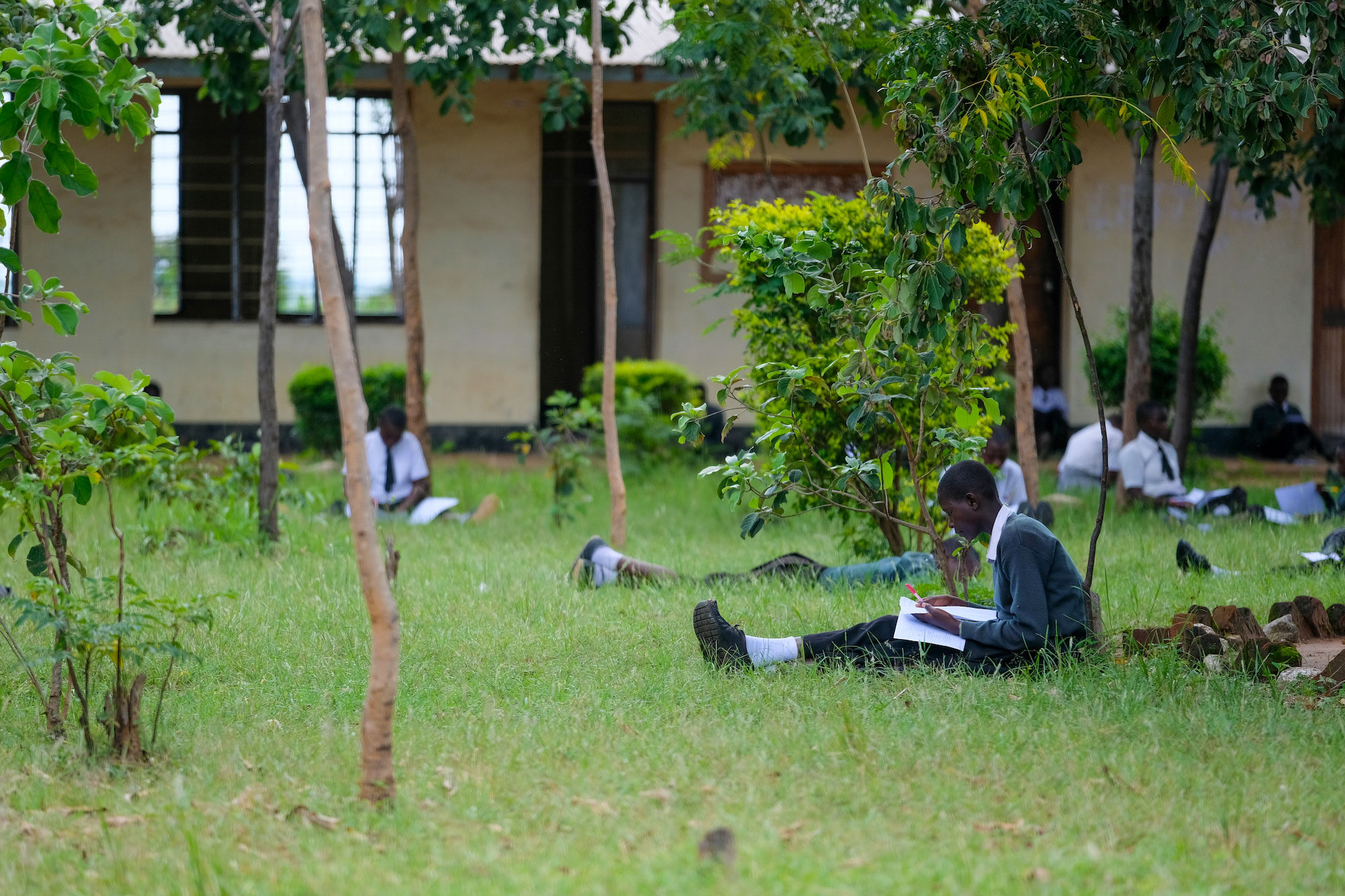 Tanzanian school children read outside sitting in grass