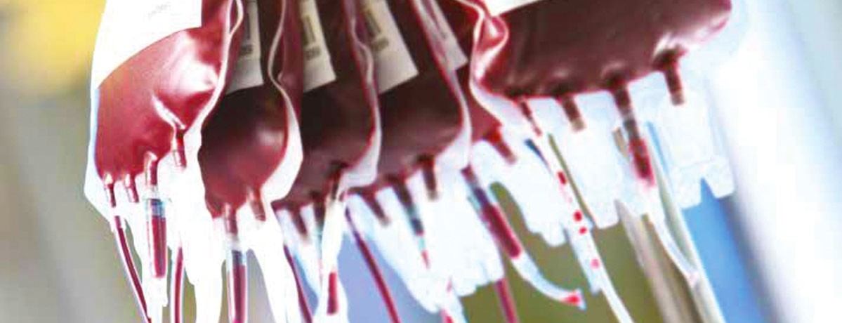 Blood bags in a lab