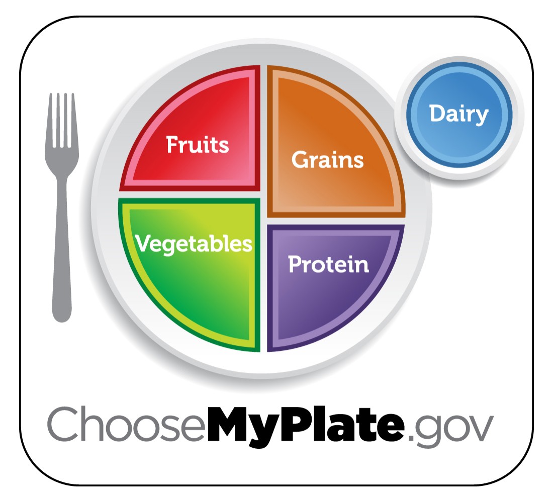 An illustrated plate divided into four color sections and a circle. Plate sections include fruits, grains, vegetables and protein. Dairy is in the circle. text to right of image explains proportions for each food group. The image includes a URL to choosemyplae.gov where more information can be found