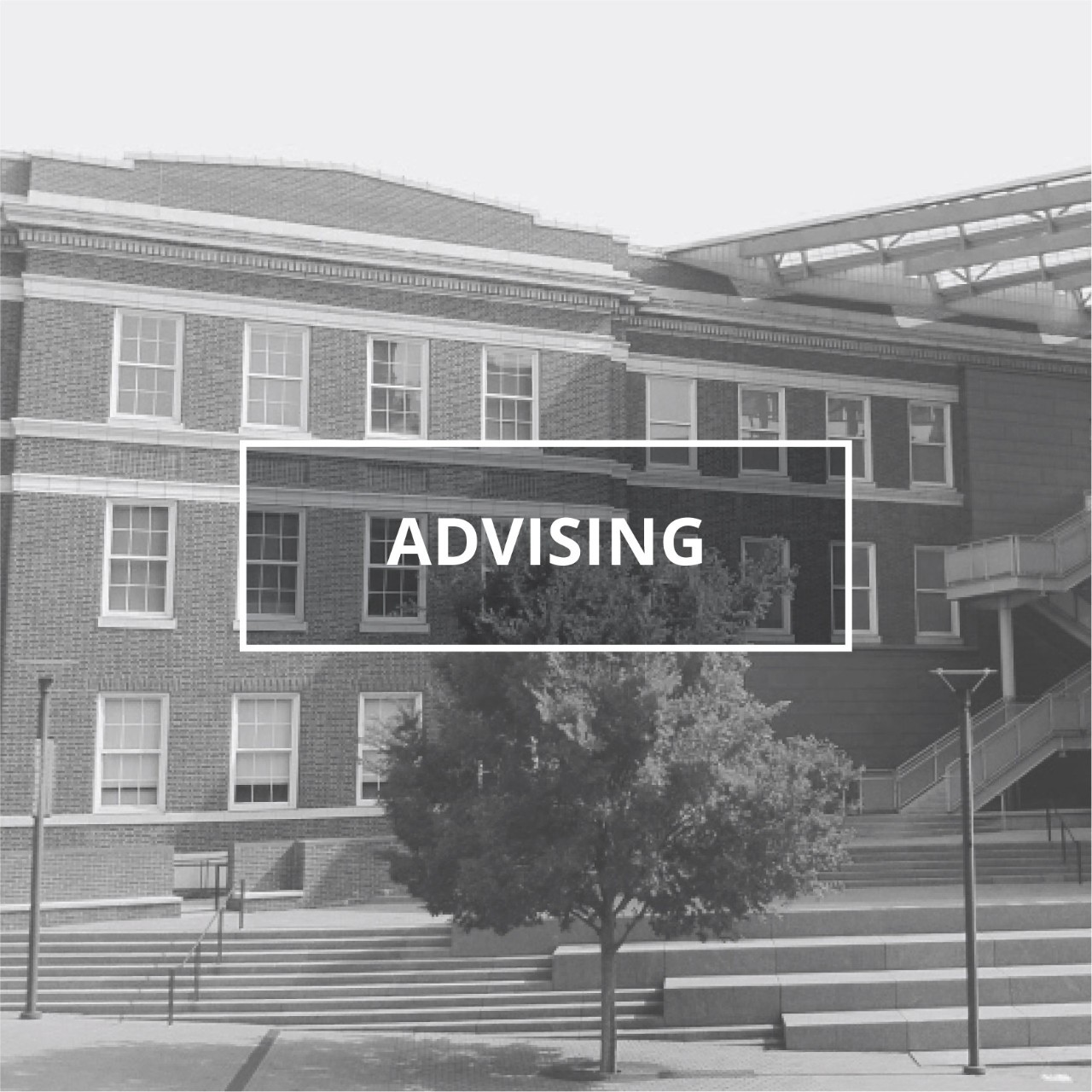 Advising