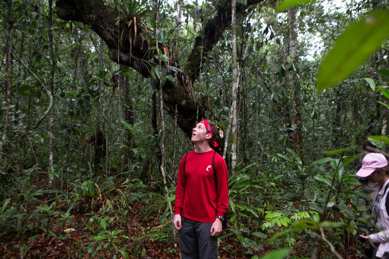 University of Cincinnati experiential learning honor class lead by instructors Jodi Shann, PhD, and Debra Brawn, MA to experiencing the Brazilian Amazon River in Manaus, Brazil March 17-27, 2016. Tuesday trip along the Rio Negro and morning hike, night ride. UC/Joseph Fuqua II 