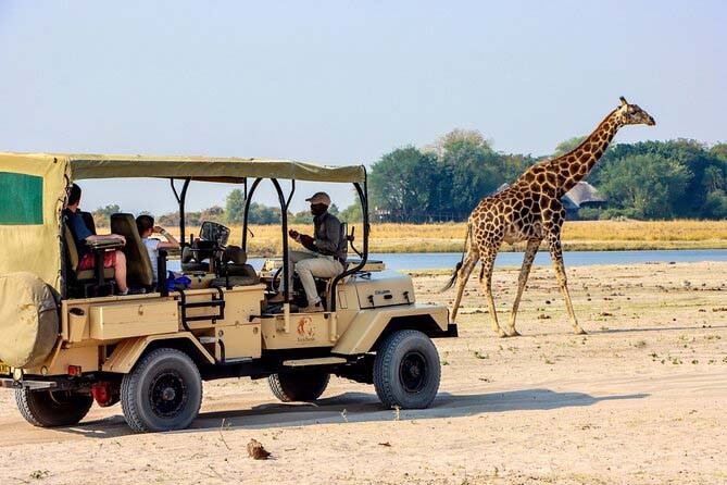 Image of a Jeep approaching a giraffe