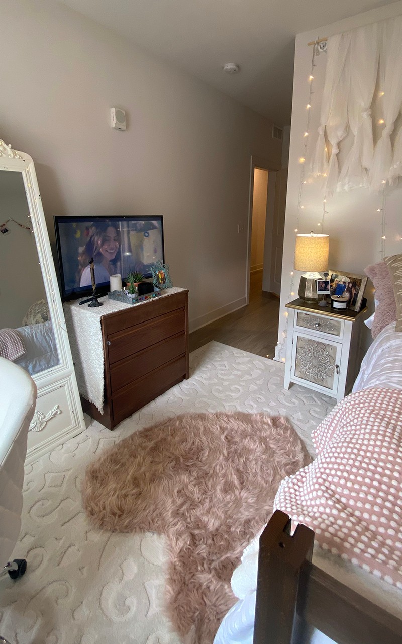 Residence hall bedroom featuring gray and rose accented art and accessories and twinkle lights on wall
