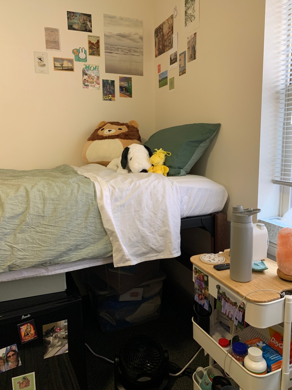 Bed in the corner of the room with pictures hanging, a mini fridge under the bed and shelves next to the bed