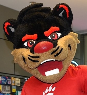 The Bearcat Mascot stands at the counter of Market on Main, pointing out a sign that indicates the Bearcat Card may be used there.