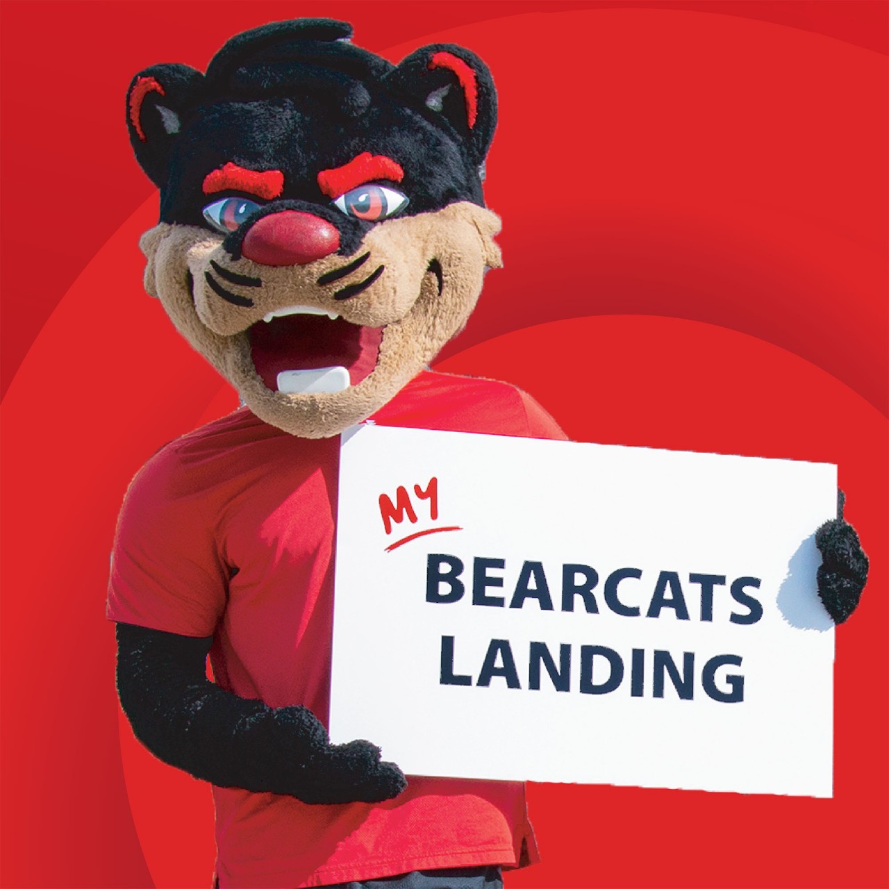UC Bearcat mascot holding a signs reading My Bearcats Landing