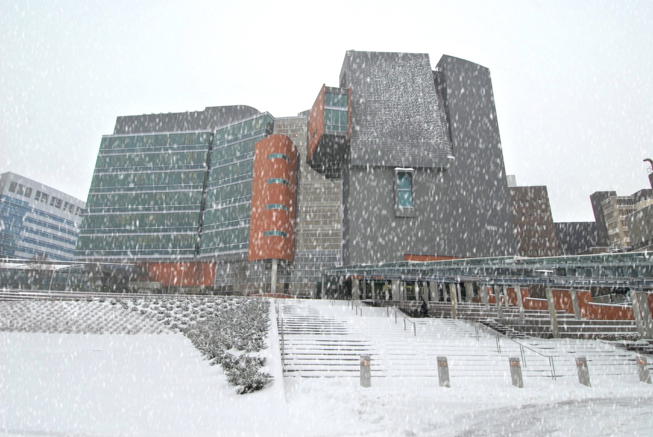 CARE. Crawley in the snow