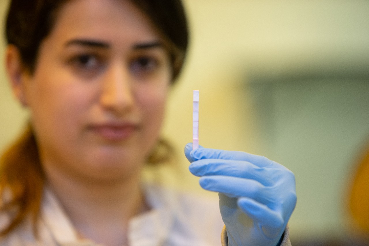 A UC student holds up a test strip.