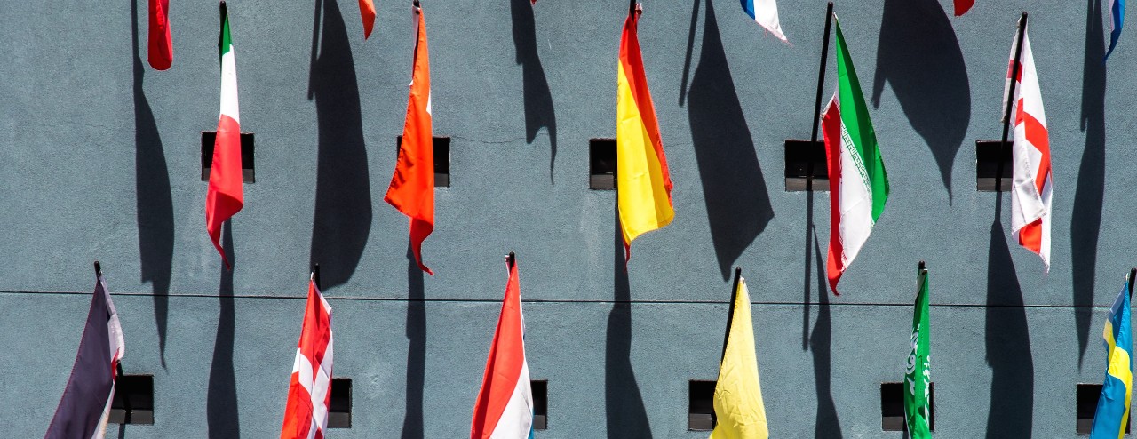 Flags of numerous countries hanging from poles in rows on a grey wall