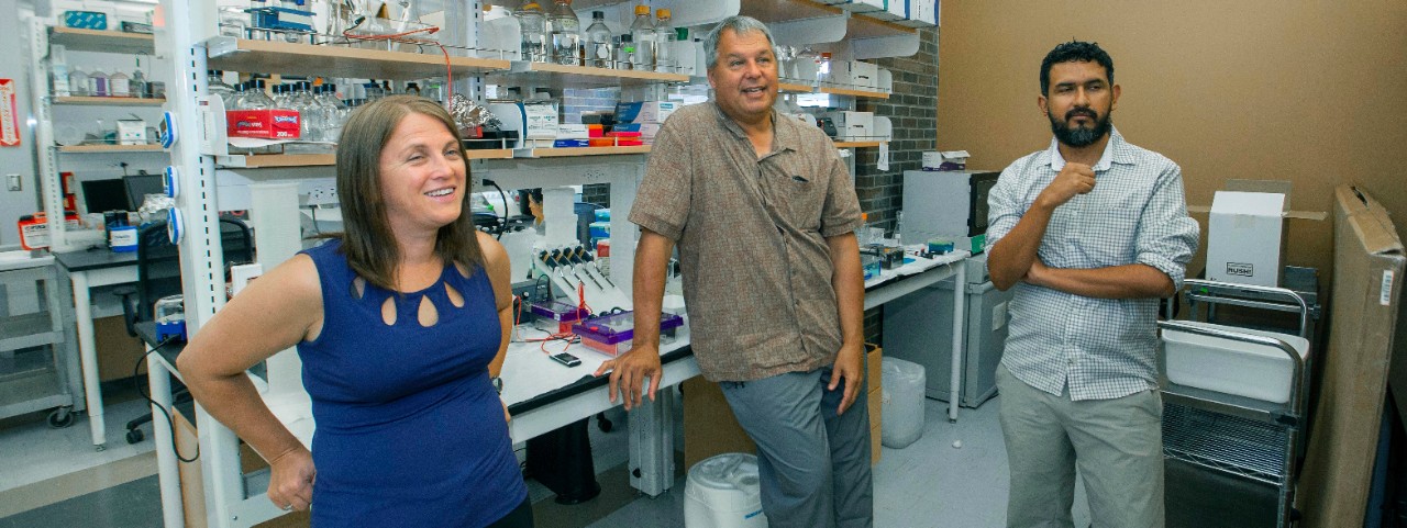 UC biologists Lucinda Lawson, left, and Kenneth Petren talk about their research in a biology lab with UC graduate student Jose Barreiro.