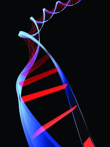 image of APOL-1 gene