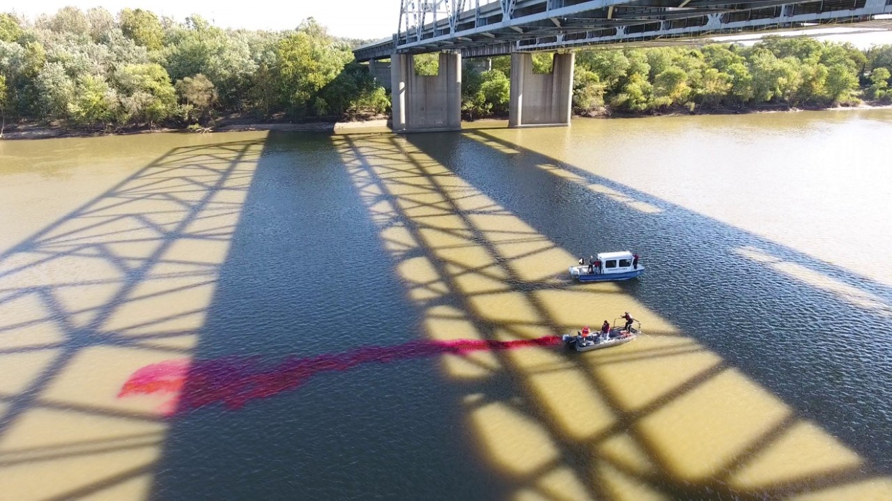 Magenta dye is released into the river as researchers observe the flow pattern