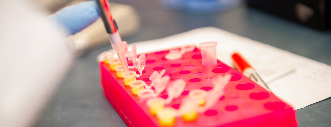 Infectious Disease lab staff in action.