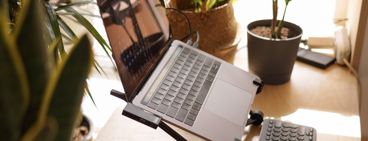 Laptop standing desk at home with plants.