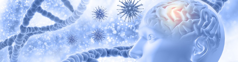 3D medical background with male figure with brain and cells