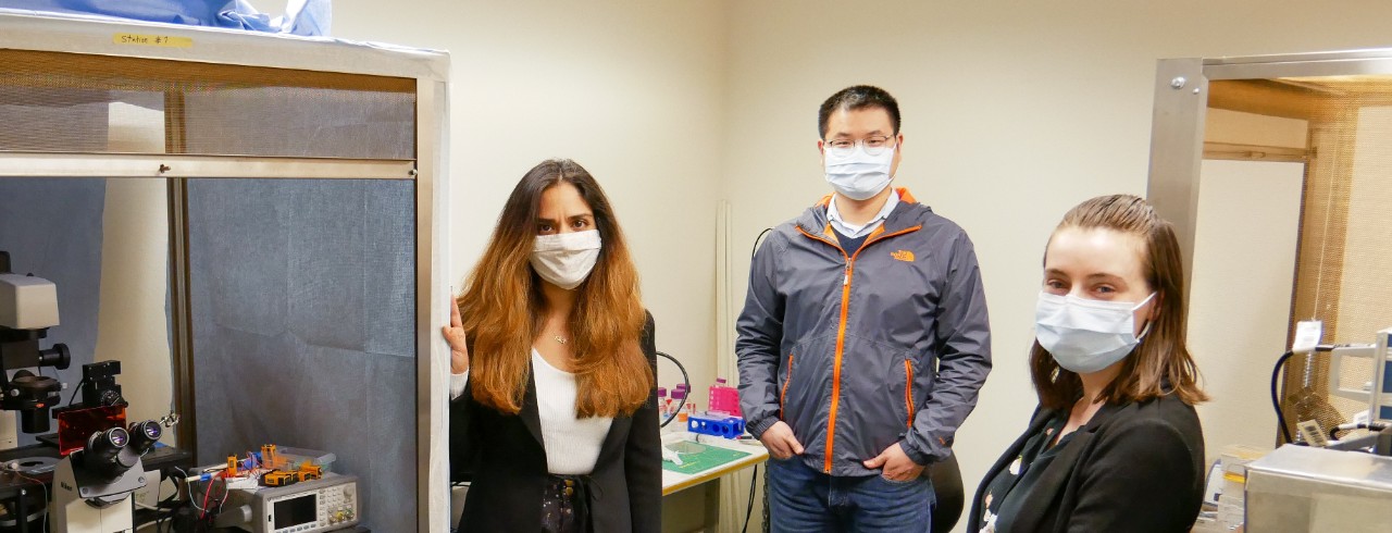 Leyla Esfandiari and her research team stand in the lab