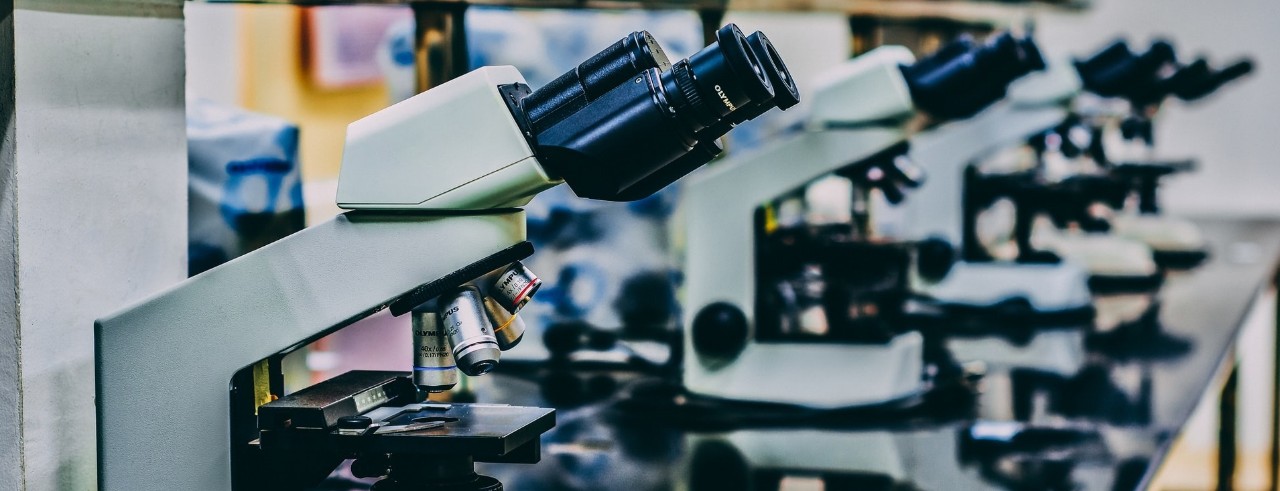 microscopes in a lab