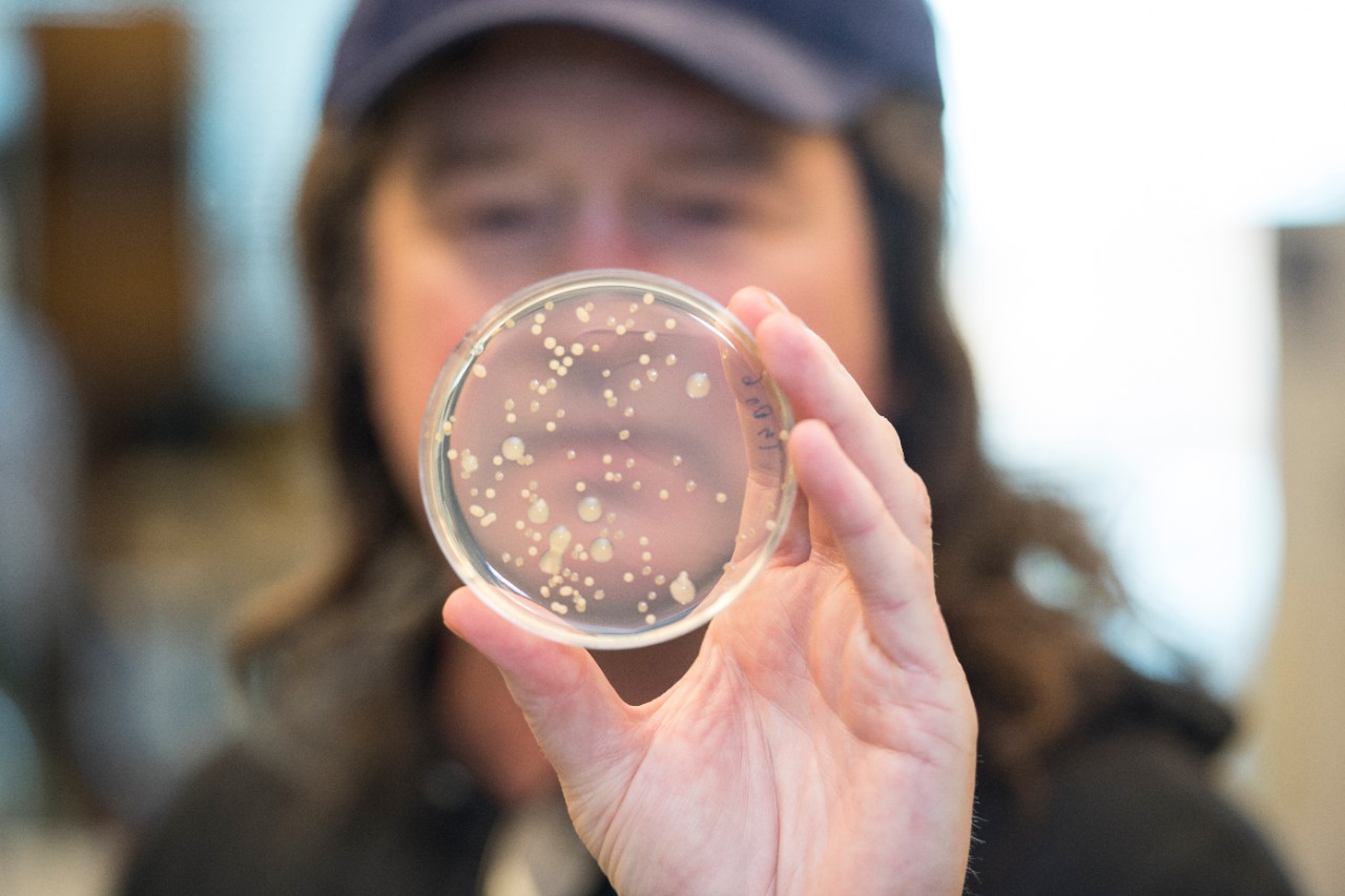 man holding petri dish