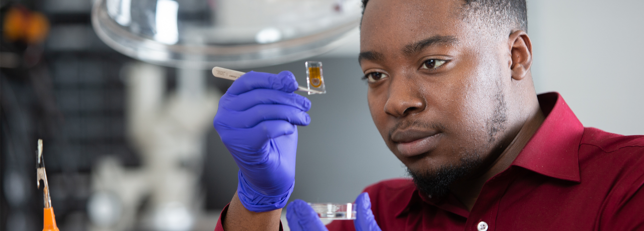 Student at work in lab