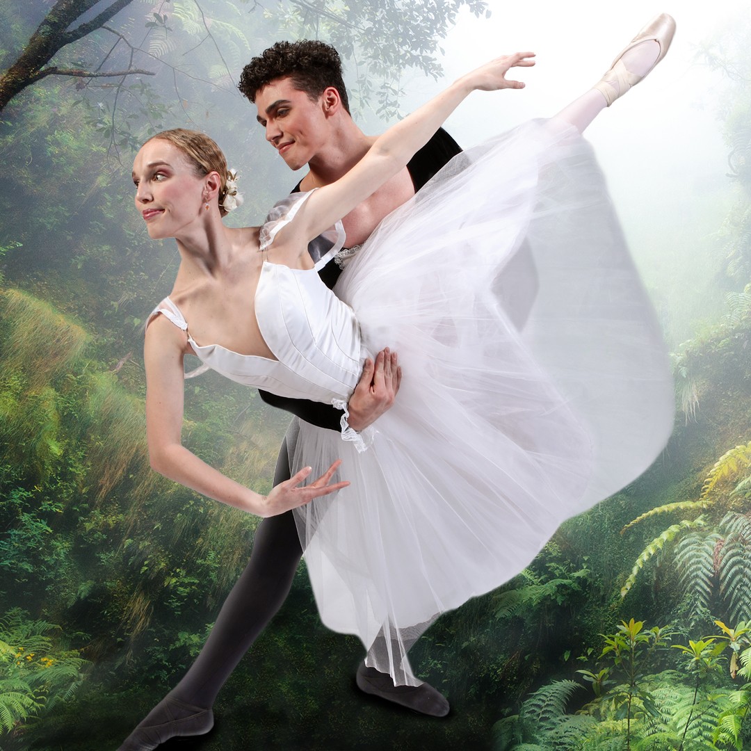 Foggy tropical forest, Madeira island (Levada do Caldeirao Verde).