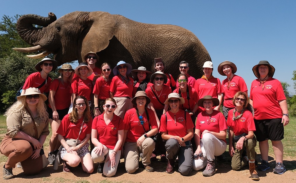 A group of people in red polo shirts and sunhats pose in front of an elephant.