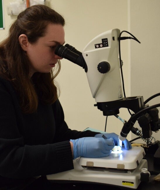 Eleanor Scott looks through a microscope