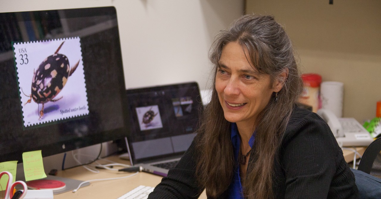 Elke Buschbeck sits at a laptop in her office.