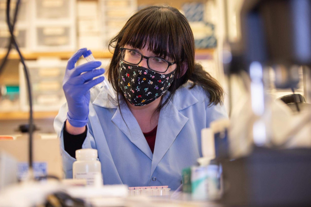 Students and researchers in chemistry and biology teamed up to unlock genetic secrets of female mosquitoes in three species that kill millions of people around the world each year. UC's findings hold promise to find the next generation of mosquito control. Dr. Joshua Benoit, post-doc Melissa Kelley, and student Melissa Uhran at work.