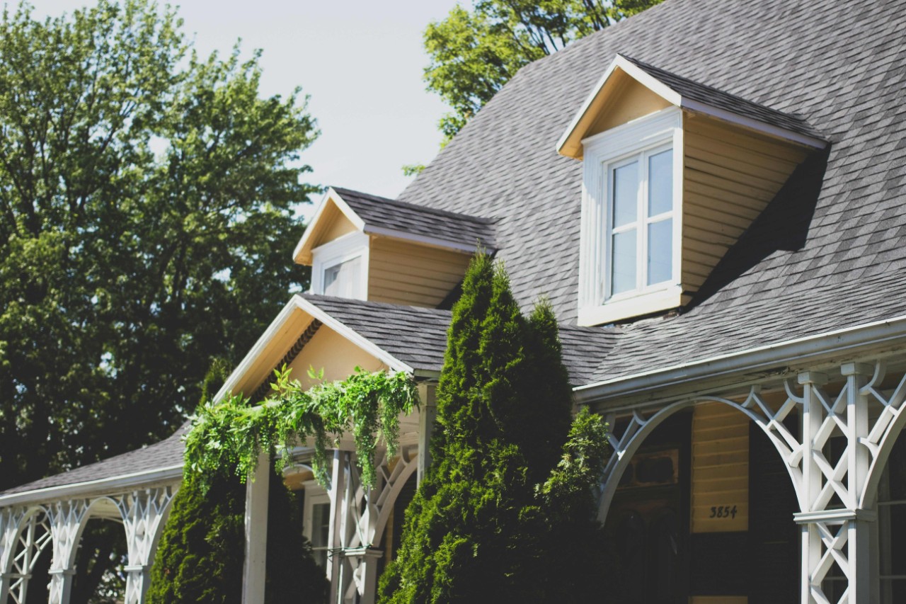 A house with vines and trees in front.