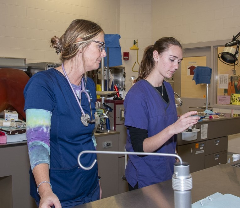 professor and student wearing scrubs and working together in the lab