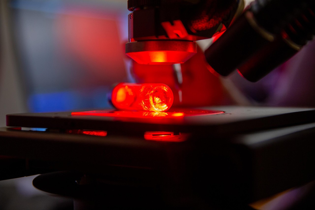 UC chemistry Professor Anna Gudmundsdottir and her students are exploring weird properties of photosensitive crystals.