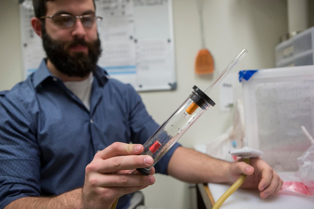 A UC researcher holds up a vial of mosquitoes in a lab.
