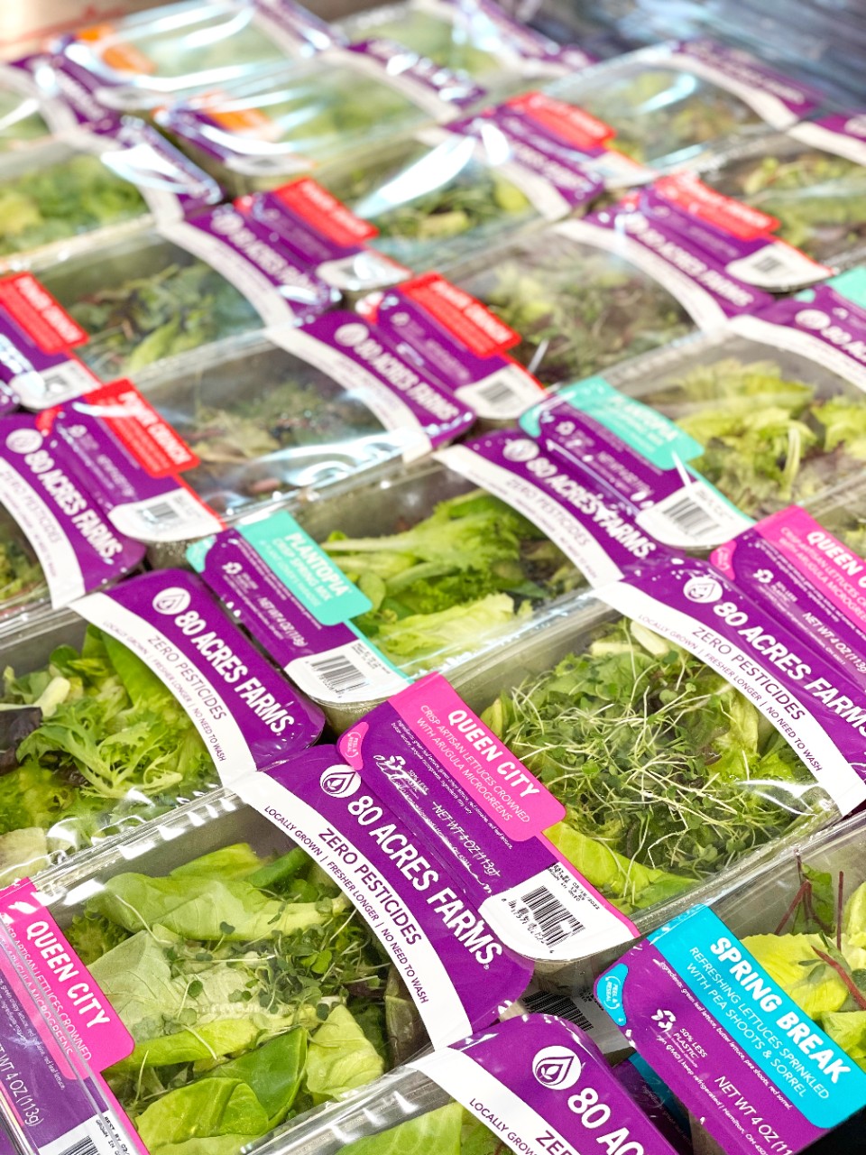 Photo of 80 Acres Farms mixed greens Rainbow Pack.