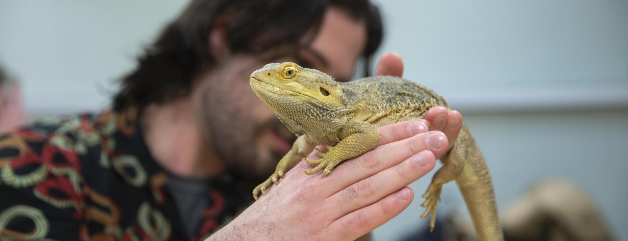 male students holds a lizard