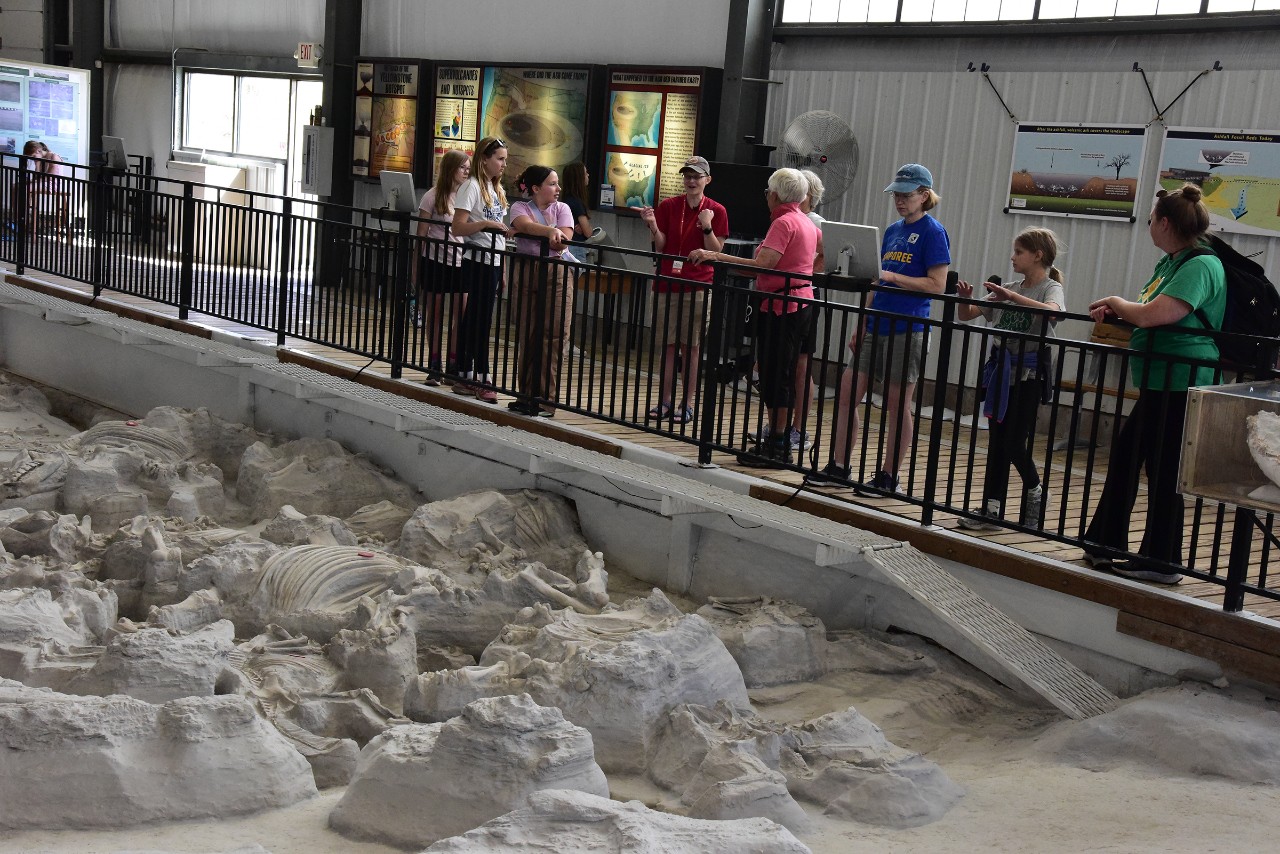 People look at partially exposed rhino fossils at Ashfall Fossil Beds.
