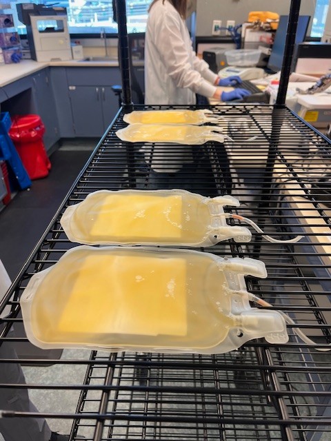 Reveos whole processing machine in the Hoxworth Blood Center lab