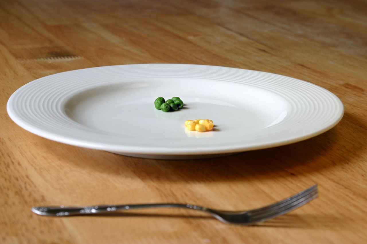 large white plate with a tiny amount of peas and corn