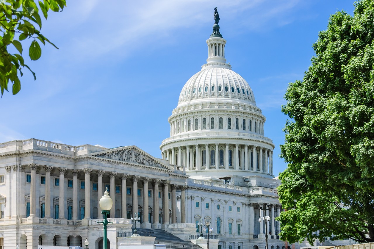 The Capitol and House of Representatives.