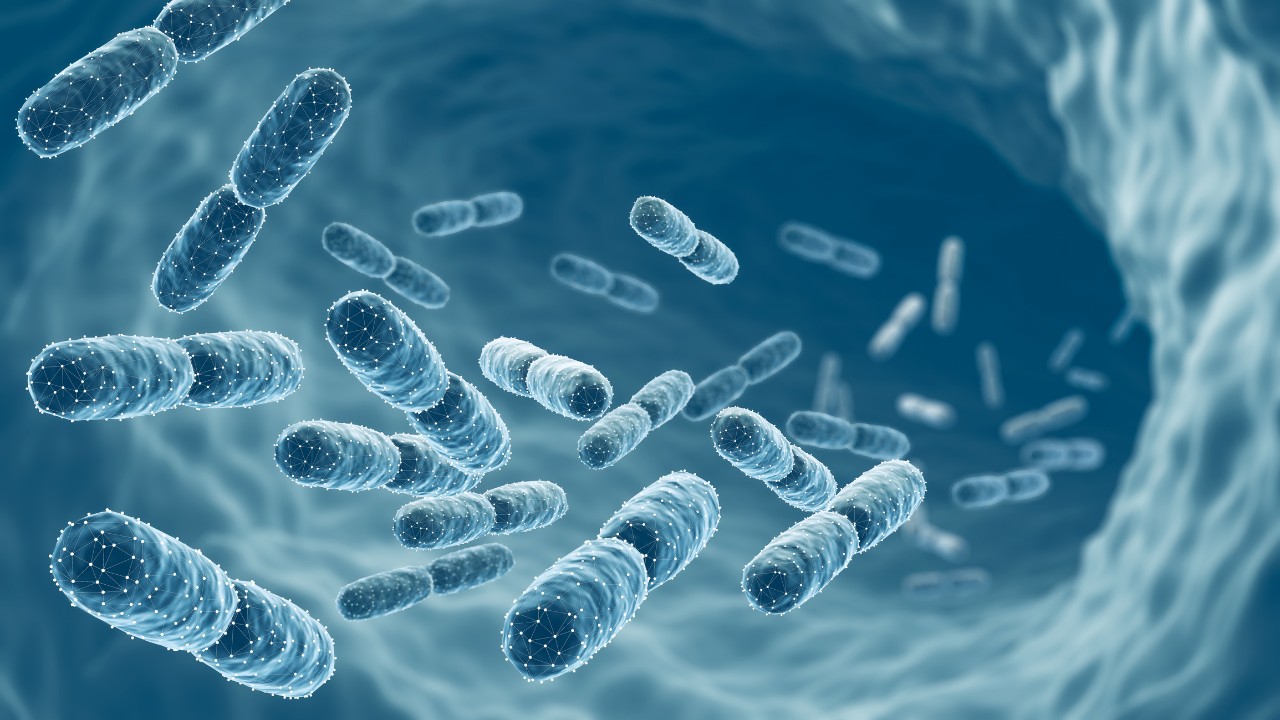 A 3D illustration of probiotic bacteria