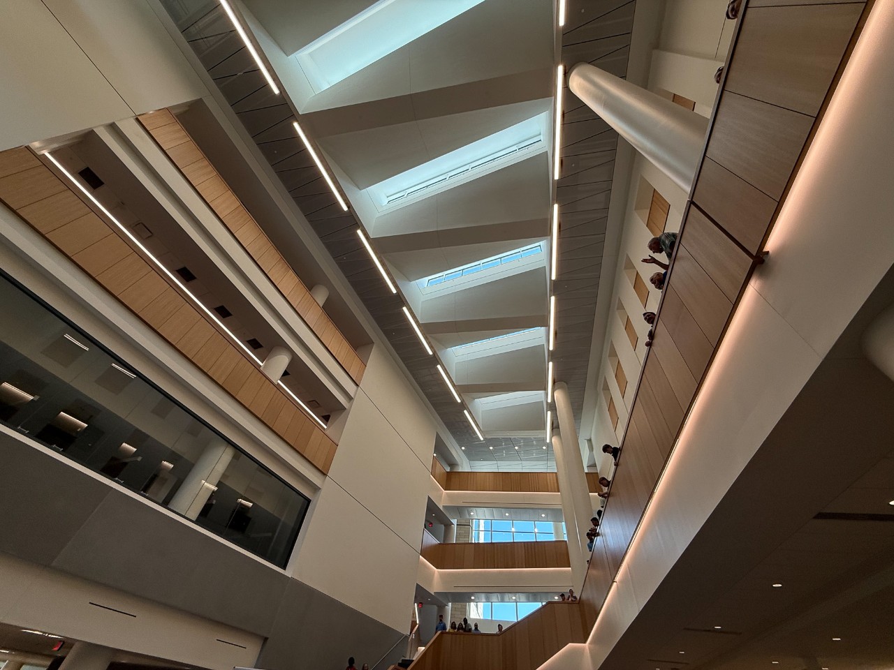 The ceiling skylights of Old Chem.