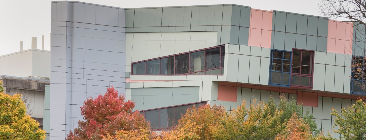 DAAP exterior of building