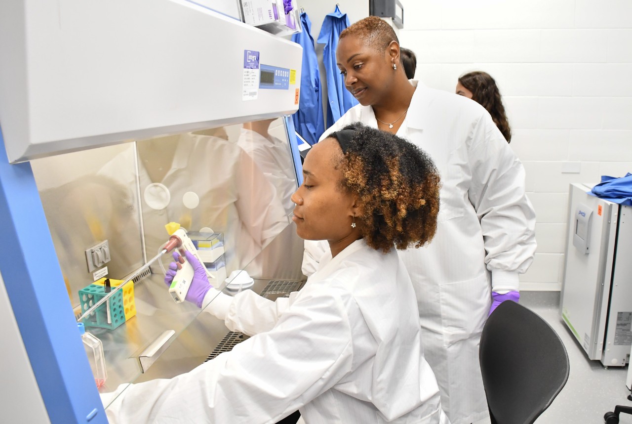 One person in a labcoat and gloves works with samples under a chemical hood while another researcher stands watching.