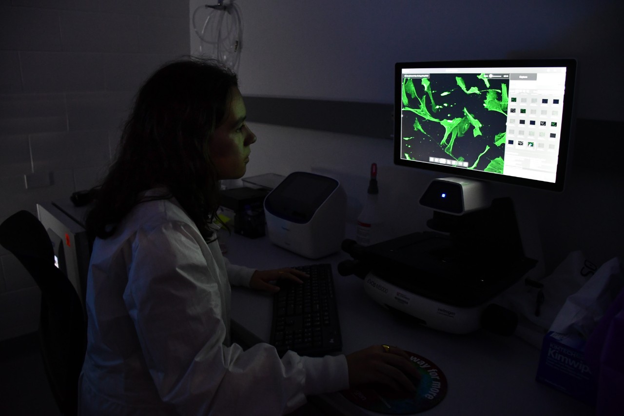 A student looks at a computer screen with an image of cells highlighted in green.