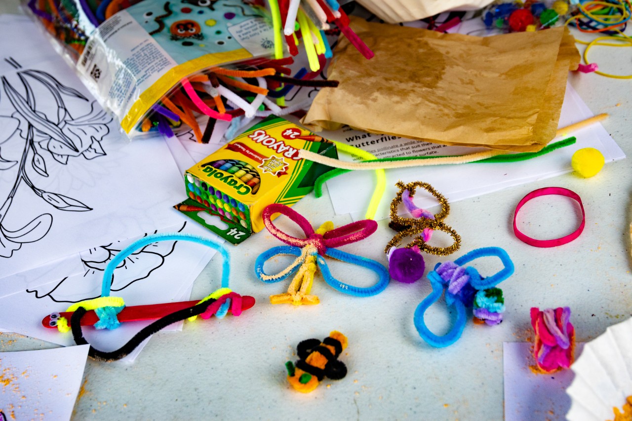 Crafts table for kids at UC's Science Harvest.