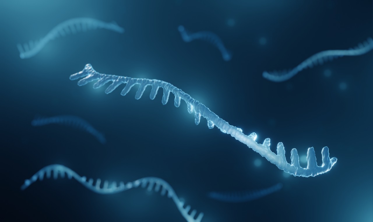 An illustration of microRNA