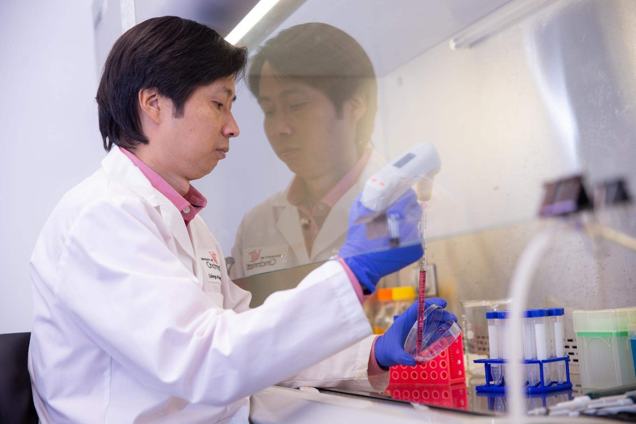 Zhang working in his lab. Photo/Andrew Higley